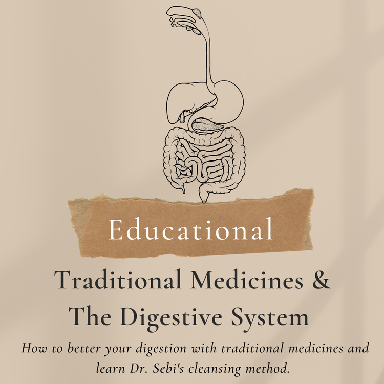 Traditional Medicines & The Digestive System